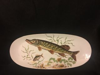 Vintage " Naaman Israel " Oval Serving Platter 14.  25 " Fish Platter With Gold Rim