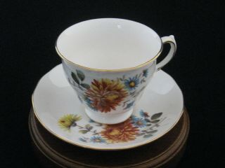 Queen Anne By Ridgway Floral Porcelain Tea Cup & Saucer Made In England