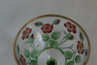 Art Nouveau Theresienthal style glass ENAMELED WILD ROSES CORDIAL 3