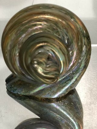 Sea Shell Michael Cohn Molly Stone Studio Art Glass Paperweight 199