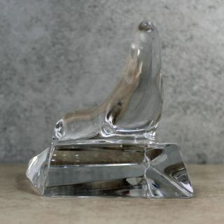 Baccarat Crystal Figurine,  3.  5 " Sea Lion Seal On Ice,  No Box