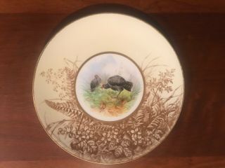 Edwin Jd Bodley Burslem Salad Plate - Turkey Gold Rim C.  1880s 5 - 4554