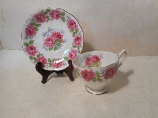 Queen Anne Bone China Teacup And Saucer Pink Roses Lady Alexander Rose