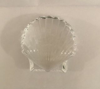 Steuben Scallop Shell Crystal Paperweight Signed - Art Glass Figurine 3.  5 "