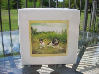 Rae Dunn Double Sided Decorative Block White Black Dogs Sit Down And Relax