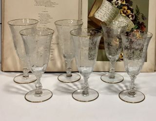 6 Vtg Cambridge Etched Wildflower Pattern With Gold Trim Ice Tea Goblet Euc