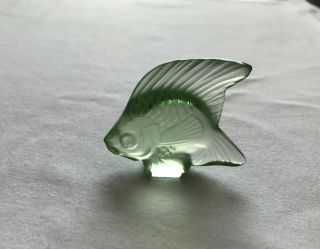 Lalique Crystal Light Green Angel Fish Signed Collectible Sculpture France