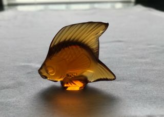 Lalique Amber Crystal Angel Fish Signed Collectible Sculpture France