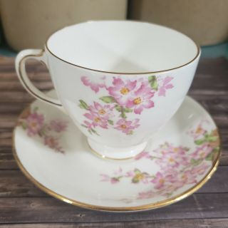 Old Royal Bone China Tea Cup & Saucer " Glorious Devon " Pink Roses