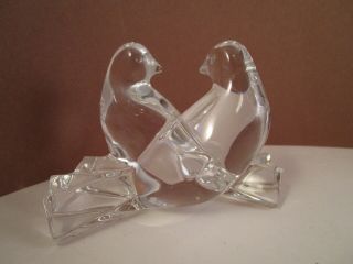 Gorgeous Baccarat Crystal Clear Glass Lovebirds Doves Figure Figurine