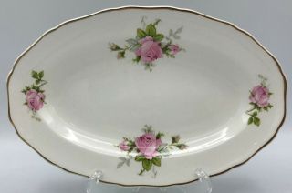 Canonsburg Rose Bouquet Gravy Underplate / Relish Tray American Beauty Vintage