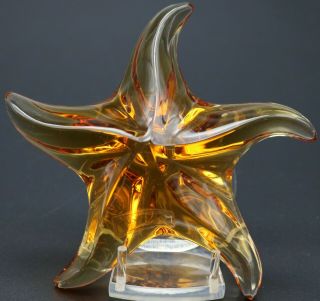 Delicate Saint Louis France Amber Crystal Starfish Art Glass Paperweight 4.  2 "