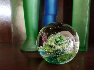 Waterford Crystal Evolution Cosmic Waters Paperweight Art Glass
