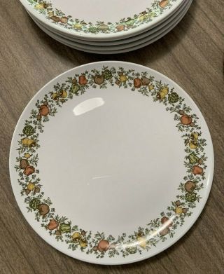 Corning Centura Spice Of Life Dinnerware - Set Of 12 Luncheon Plates
