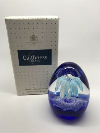 Large Caithness Glass “fae Blue” Paperweight,  Certificate & Box