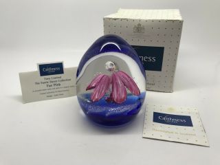 Large Caithness Glass “fae Pink” Paperweight,  Certificate & Box