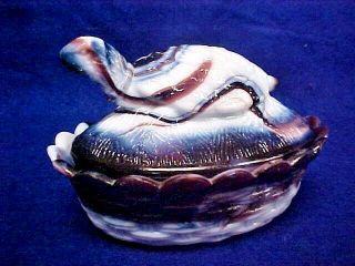 Vintage Lg Wright Slag Glass Purple White Turtle On A Nest Covered Dish