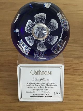Stunning Limited Edition Caithness Paperweight Sandflower