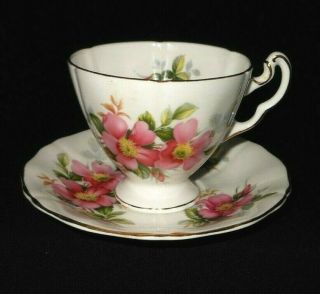 Royal Adderley Canadian Provincial Flowers Prairie Rose Fine Tea Cup And Saucer.