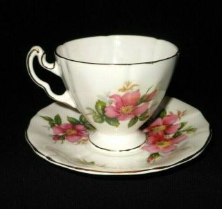 Royal Adderley Canadian Provincial flowers Prairie Rose fine tea cup and saucer. 2