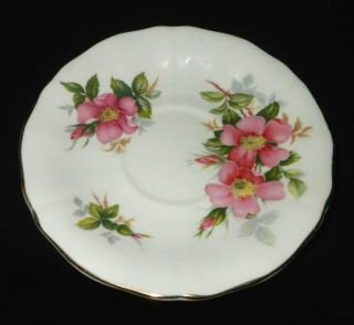 Royal Adderley Canadian Provincial flowers Prairie Rose fine tea cup and saucer. 3
