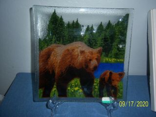 Signed Peggy Karr Art Glass Handcrafted Mama And Baby Bear Square Plate 10 "