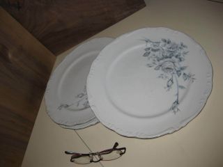 Three Royal M Dinner Plates By Yamaka Japan Renee Rose Design