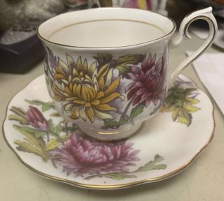 Royal Albert Flower Of The Month Series Tea Cup & Saucer Chrysanthemum