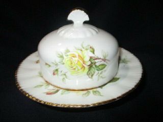 Paragon England Cream Cheese Butter Dish Soft Yellow Peace Rose