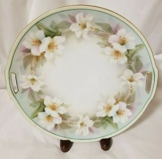 Vintage Rs Tillowitz Silesia Hand Painted Handled Cake Plate - Green Floral