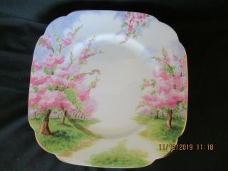 Royal Albert Blossom Time Dessert Side Plate/plates 6 3/4 "