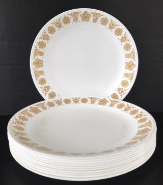 Vintage Corelle Butterfly Gold Dinner Plates 10 1/4 " Set Of 11 By Corning