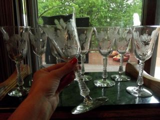 Set (8) Water Goblets Glasses 7 - 7/8 " Libbey Rock Sharpe 3007 Sylvan Cut Floral