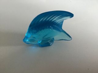 Signed Lalique Crystal France Turquoise Tropical Angel Fish Art Glass Figurine