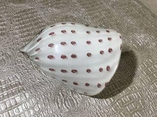 Murano Sea Shell Conch Art Glass 8 3/4 Inches Long N2