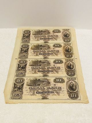 $10 Orleans Canal Bank Uncut Sheet Red Back