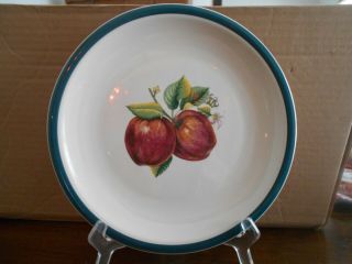 Apple Dinner Plate (s) 10.  25 " China Pearl Casuals Stoneware White Green Red Brown