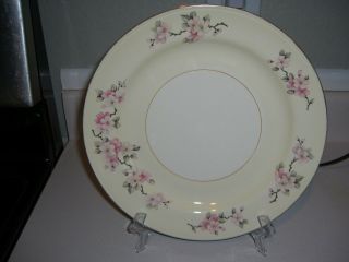 Homer Laughlin Apple Blossom N1670 Dinner Plate (s)