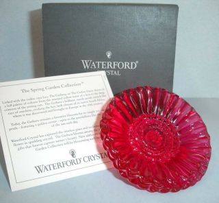 Waterford Gerber Daisy Pink Flower Paperweight Crystal Germany 139947 Boxed