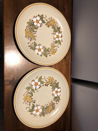 Hearthside Garden Festival Hand Painted Stoneware 2 Dinner Plate Prairie Flowers