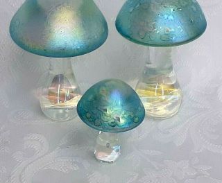 Heron Glass set of Green Mushrooms - Hand Crafted in Cumbria,  UK - Gift Box 2