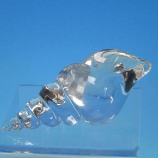 St Louis France Crystal - Treasures Of The Sea - Clear Twisted Shell Paperweight