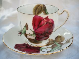 Royal Standard English Rose Footed Teacup & Saucer Large Red Rose Bone China