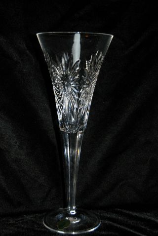Waterford Crystal Health Millennium 9.  25 " Toasting Champagne Flute
