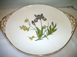 Vintage Spode Fine Bone China Round Platter Made In England " Iris "