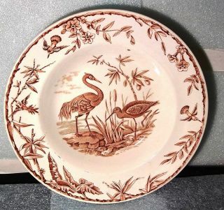 168 Year Old 1851 Ridgway Of England " Indus " Hummingbird & Crane Bowl