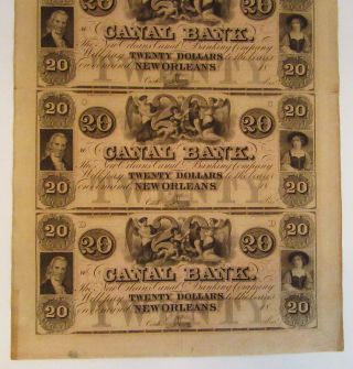 1800s Canal Bank Orleans $20 Obsolete Bank Notes,  Uncut Sheet of 4 - Angels 3
