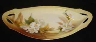 Vintage Rs Germany Porcelain White Floral Cutout Handle Relish Celery Dish Bowl