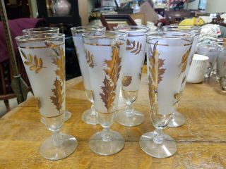 Set Of 7 Libbey Gold Leaf Pilsner Glasses