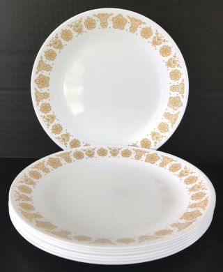 Vintage Corelle Butterfly Gold Dinner Plates 10 1/4 " Set Of 7 By Corning